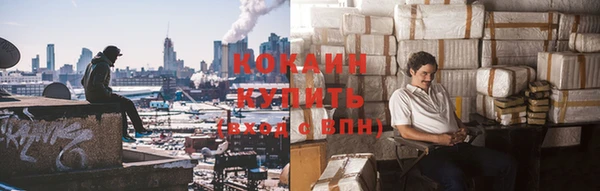 ПСИЛОЦИБИНОВЫЕ ГРИБЫ Няндома