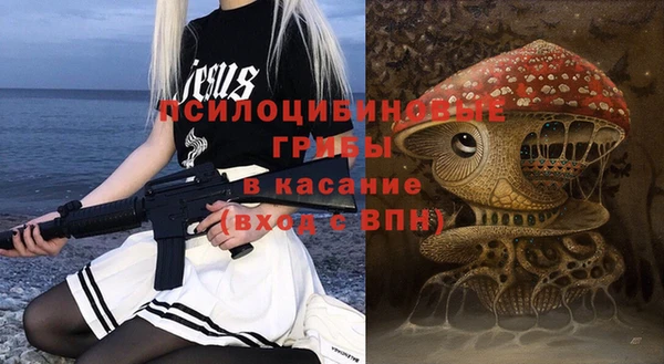 гидра Снежногорск
