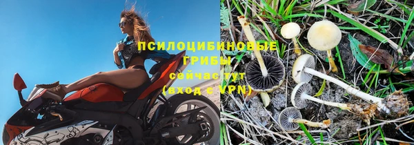 дживик Елабуга
