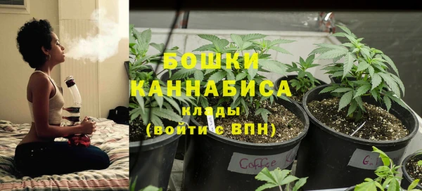 не бодяженный Ельня