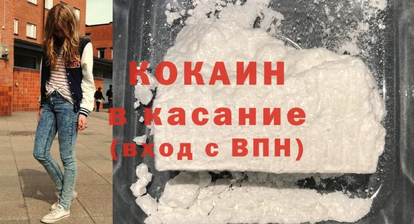 твердый Новозыбков