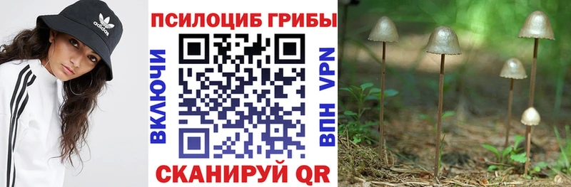 МЕГА зеркало  как найти   Петухово  Галлюциногенные грибы Cubensis 
